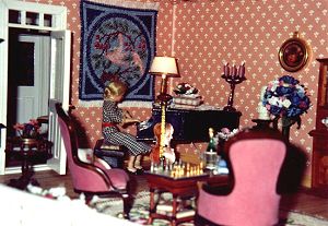 "Victoria" rug used as a wallhanging