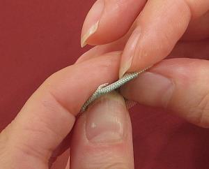 Miniature needlepoint tutorial - fold back the quarter inch seam allowance